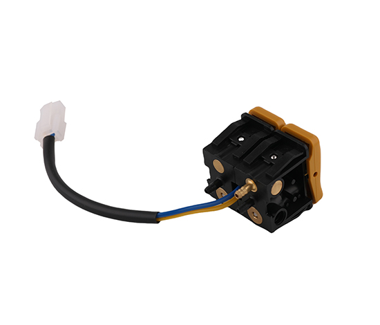 Electric lumbar support switch