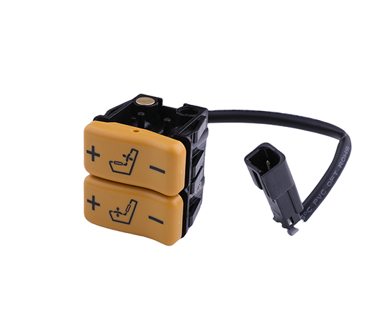 Electric lumbar support switch
