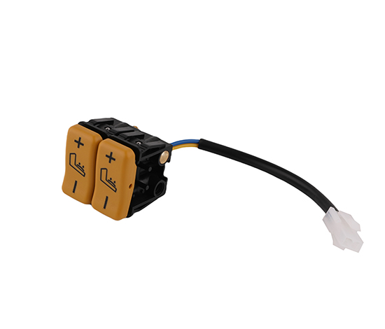 Electric lumbar support switch